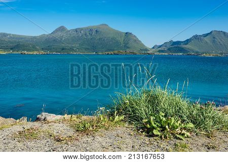 Coast on the Lofoten islands in Norway.