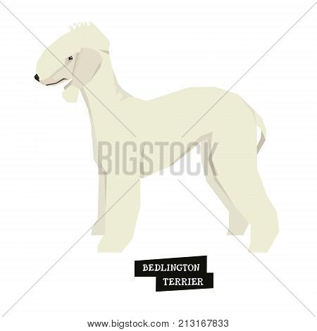 Dog collection Bedlington Terrier Geometric style set