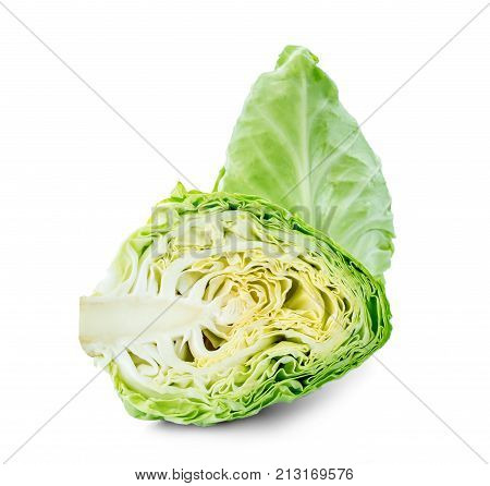 pointed cabbage isolated on white background pointed cabbage isolated