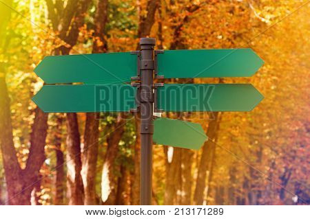 Blank directional road signs against autumn foliage. Green metal arrows on the signpost. Warm toned colors. Old style image