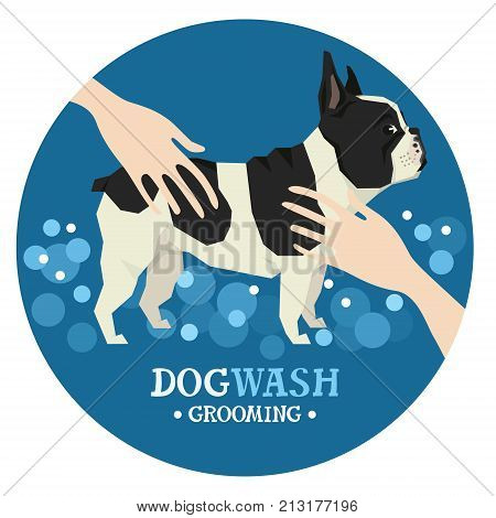 Dog washing Pet Grooming French Bulldog Design label set