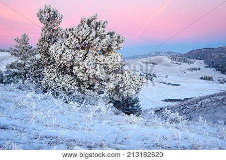 Winter in the Karkaraly Mountains.
Karkaraly mountains - a mountain range in the Karaganda region of Kazakhstan.