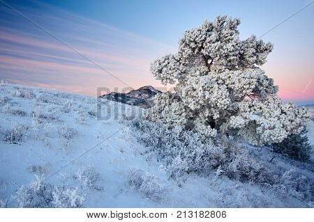 Winter in the Karkaraly Mountains.
Karkaraly mountains - a mountain range in the Karaganda region of Kazakhstan.