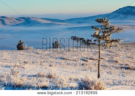 Winter in the Karkaraly Mountains.
Karkaraly mountains - a mountain range in the Karaganda region of Kazakhstan.