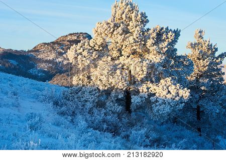 Winter in the Karkaraly Mountains.
Karkaraly mountains - a mountain range in the Karaganda region of Kazakhstan.