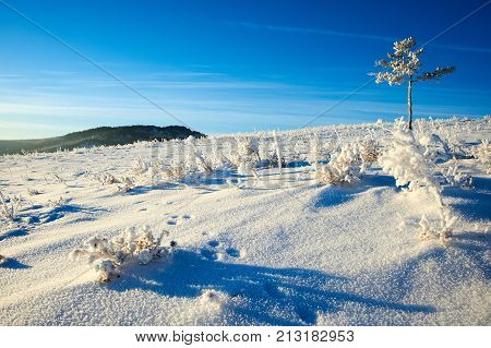 Winter in the Karkaraly Mountains.
Karkaraly mountains - a mountain range in the Karaganda region of Kazakhstan.