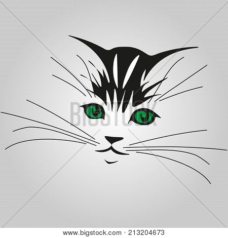 Cute kitten with green eyes on a gray background. Sketch, sketch. Vector illustration.