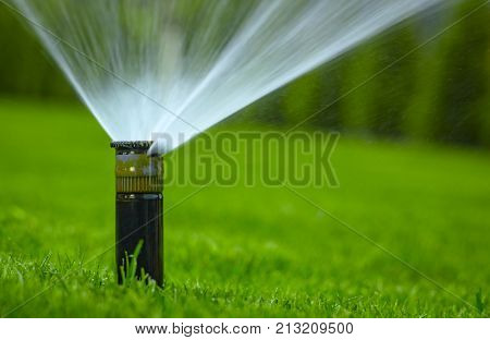 automatic sprinkler system watering the lawn on a background of green grass, close-up