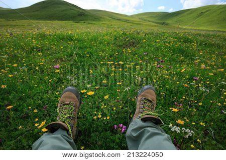 closeup of hiking legs rest on flowering grassland