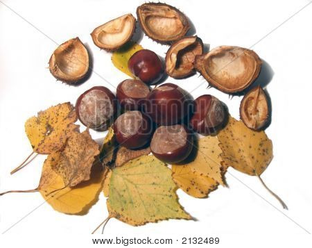 Autunno...