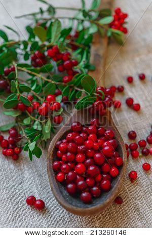 Berries of red lingonberry in a wooden spoon along with twigs on a table.