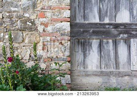 A wooden door next to a stone wall and a small hedge of flowers