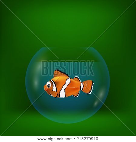 colorful illustration with sea clown fish on a green background