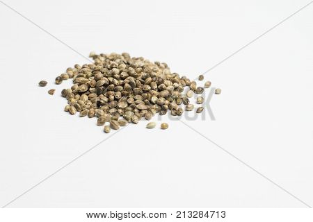 Cannabis Seeds