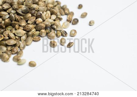 Cannabis Seeds Close Up