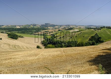Rural landscape at summer along the road from Fermo to Monterubbiano (Marches italy)