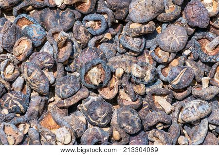 chinese food dried mushroom on bamboo basket