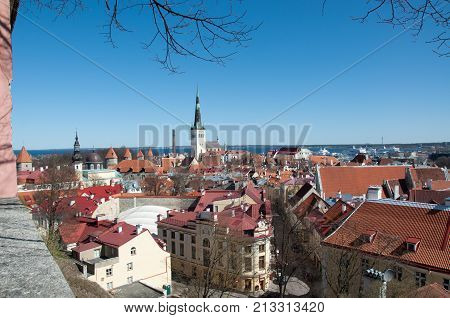 Tallinn Estonia panorama overlooking the city of Tallinn
