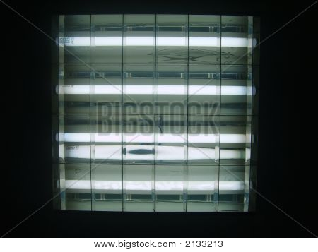 Luce