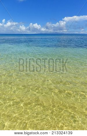Clear Water Along The Shore Of Taveuni Island, Fiji