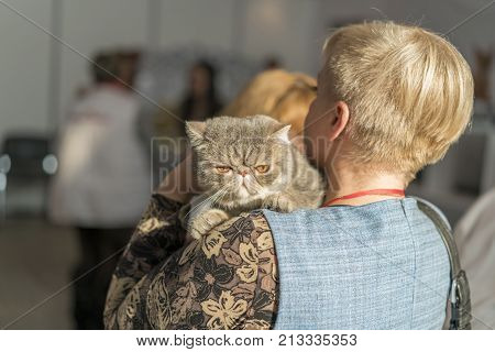 Girl holding a cat on her shoulder