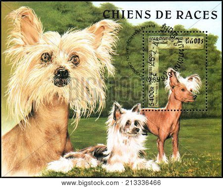 CAMBODIA - CIRCA 1997: a postage souvenir shee,t printed in Cambodia, shows a Tufted Chinese, series breeds dogs