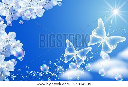 Himmel und weiße Blumen