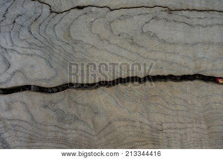 wood tree trunk strucutre with vertical crack surface
