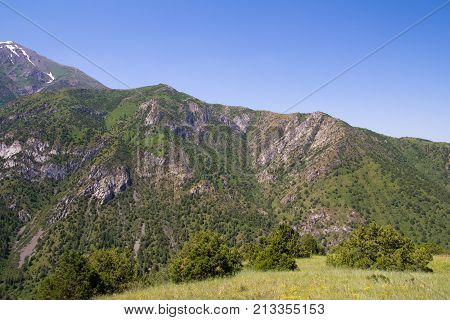 beautiful mountains in Kazakhstan. nature . In the park in nature