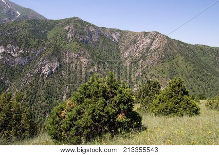 beautiful mountains in Kazakhstan. nature . In the park in nature
