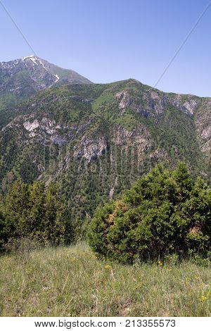 beautiful mountains in Kazakhstan. nature . In the park in nature
