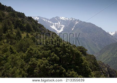 beautiful mountains in Kazakhstan. nature . In the park in nature