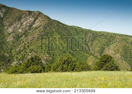 beautiful nature. Mountains in Kazakhstan . In the park in nature