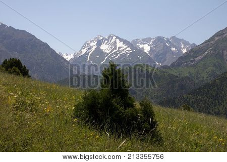 beautiful nature. Mountains in Kazakhstan . In the park in nature