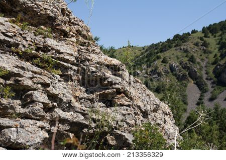 beautiful nature. Mountains in Kazakhstan . In the park in nature