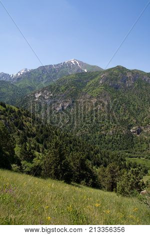 beautiful nature. Mountains in Kazakhstan . In the park in nature