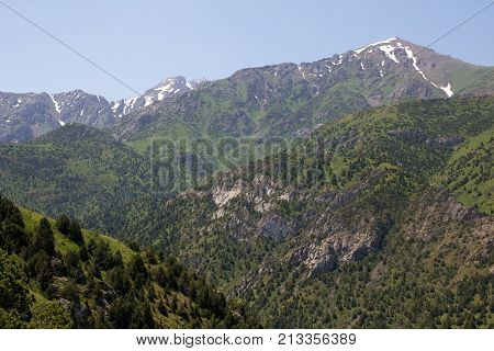 beautiful nature. Mountains in Kazakhstan . In the park in nature