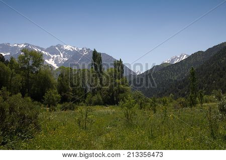 beautiful nature. Mountains in Kazakhstan . In the park in nature