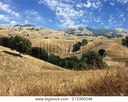 Golden Hills Of California With Blue Sky And Clouds, Mt Diablo Foothills