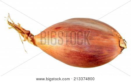 Unpeeled Shallot onion bulb isolated on white background