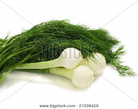 Mladé cibulky s koprem