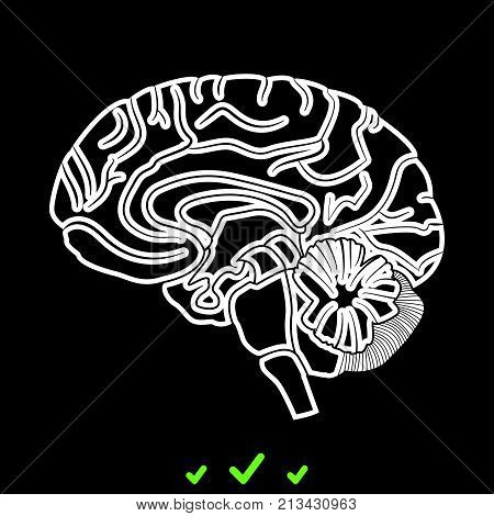 Brain It Is White Icon .