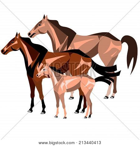 Three horses standing isolated. Vector illustration on white background