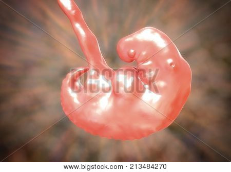 Pregnancy. 4 weeks embryo, middle part of the fourth week, scientifically accurate 3D illustration
