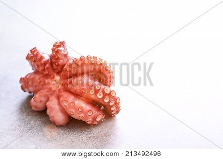 Boiled octopus on metal background with copy space. Toned sunny effect and sunlights