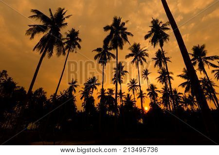 Tropical Landscape Of Koh Kood