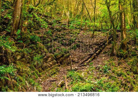 Dilapidated staircase of the trail on mountainside in the ravine Chudo-Krasotka Sochi Russia