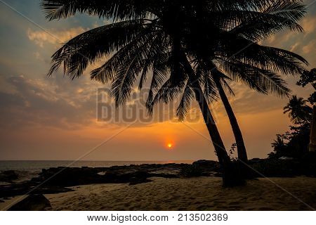 Tropical Landscape Of Koh Kood