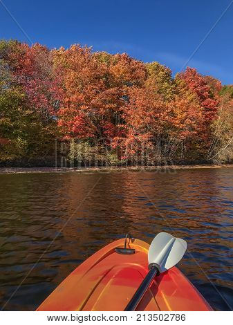 Beautiful Canadian Fall folliage in New Brunswick. Kayaking on the Saint John River in the Fall New Brunswick Canada