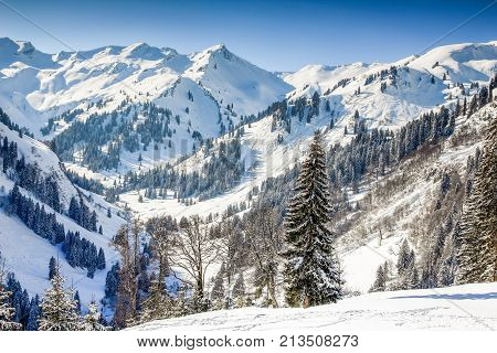 Remote mountain winter landscape with deep snow and forest on clear sunny day. Allgaeu Alps, Bavaria in Germany.